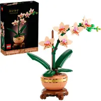 LEGO Botanicals Mini Orchidee 10343