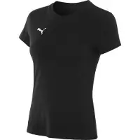Puma Functioneel shirt 'Team Goal' zwart / wit