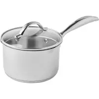 Scanpan Steelpan met Glazen Deksel 16cm