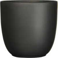 Everydays by Intratuin Bloempot Jules Zwart D 17 H 16 Cm