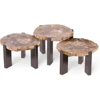 Ptmd salontafel rudi - 50x60x43cm set van 3