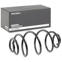 RIDEX 188C0181 Chassisveer