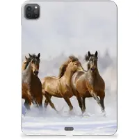 B2Ctelecom iPad Pro 11 (2024) Back Case Paarden