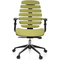 Schaffenburg Ergonomische bureaustoel 101 model Ruggengraatstoel in Oranje
