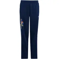 Adidas Originals Broek 'x Liberty London Firebird' taupe / navy / grasgroen / lichtroze