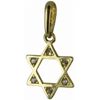 New Bling 132401173 Gouden Hangertje - Dames - Davidster - Zirkonia - 7,8 mm Doorsnee - 14 Karaat - Bedel - Goud
