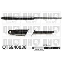 Quinton Hazell QTS840036 Gasveer achterklep