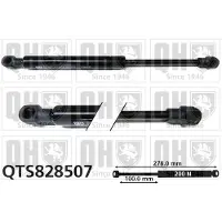 Quinton Hazell QTS828507 Gasveer, legbodem (Koffer- / Laadruimte)