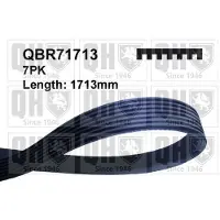 Quinton Hazell QBR71713 Multiriem