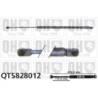 Quinton Hazell QTS828012 Gasveer achterklep