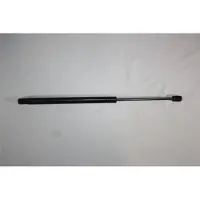 AUTOMEGA 100098110 Gasveer achterklep