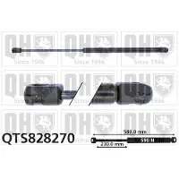 Quinton Hazell QTS828270 Gasveer achterklep