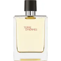 Hermès Paris - Terre D'hermes Eau De Toilette - 100 ML