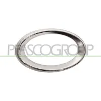 BLIC 6502-07-3528919P Ventilatiegrille, bumper