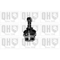 Quinton Hazell QSJ999S Fuseekogel