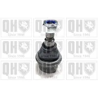 Quinton Hazell QSJ2110S Fuseekogel
