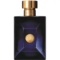 Versace Dylan Blue - Eau de Toilette 100ml