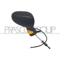 PRASCO RN3087113P Buitenspiegel