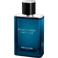 Boucheron Singulier Eau de Parfum 50ml | Heren Parfum