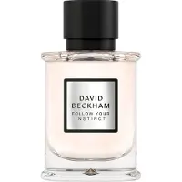David Beckham Follow Your Instinct Eau de Parfum 50 ml