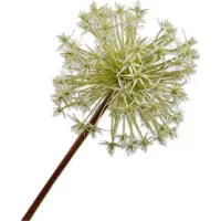 Silk-ka Kunstbloem-Zijden Bloemen Allium Steel Wit 104 cm