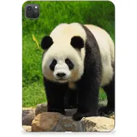 B2Ctelecom iPad Pro 11 (2024) Back Case Panda