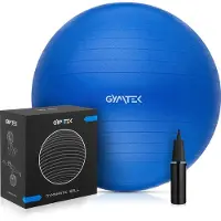 Gymtek Gymnastiekbal incl. Pomp - 65 cm - Pilatesbal, Trainingsbal, Fitnessbal, Zitbal voor Fitness, Pilates, Home Gym, Workout, Fysiotherapie