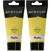 Rayher Hobby Materialen Rayher hobby Acrylverf op waterbasis - 2x - geel - 75 ml - Schilderen/knutselen - Voor kinderen en volwassenen