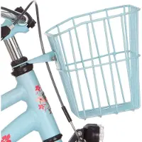 Alpina mand 20 22 ocean winter blauw matt