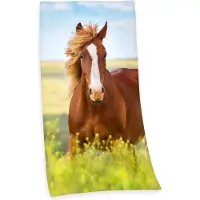 MCU Badlaken Paard met paardenmotief (1 stuk)