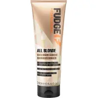 Fudge Professional All Blonde Colour Lock Conditioner 250 ml