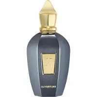 XERJOFF Eau de Parfum - Ouverture - Unisex - 100ml - Concentratie: Eau de parfum