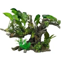Ebi Aqua Della Flora Scape 10 XXL (Andere objecten), Aquarium decoratie
