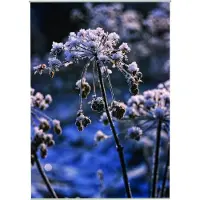 Mars & More Snow Outdoor TextielPoster fotoprint 95x130cm