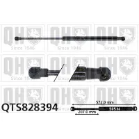 Quinton Hazell QTS828394 Gasveer achterklep