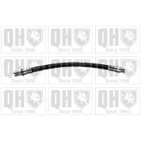 Quinton Hazell BFH4487 Remslang