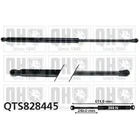 Quinton Hazell QTS828445 Gasveer achterklep