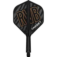 Target K-Flex Raymond van Barneveld No.2 Medium