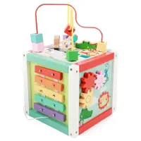 Fisher Price Activiteiten Kubus Hout