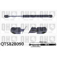 Quinton Hazell QTS828090 Gasveer achterklep
