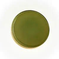 Marset Design wandlamp Caramel, dimbaar, groen, Woon-/ Eetkamer, Glas, Design, Wandlamp design