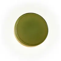 Marset Design wandlamp Caramel, dimbaar, groen, Woon-/ Eetkamer, Glas, Design, Wandlamp design