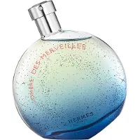 Hermès Paris - Hermes L'Ombre Des Merveilles Eau de parfum Spray 100 ml Dames