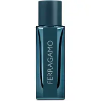 Salvatore Ferragamo Ferragamo Intense Leather Eau de Parfum 100 ml