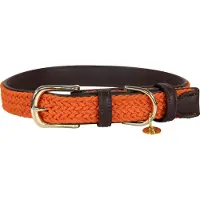 Kentucky Dogwear - Hondenhalsband - Gevlochten Nylon Hondenriem - Oranje - Maat S (42cm)