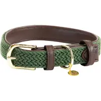 Kentucky Dogwear Nylon Hondenhalsband