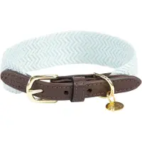 Kentucky Dogwear - Jacquard Hondenhalsband - Lichtblauw - Maat M - 50cm - Hondenriem