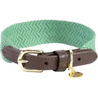 Kentucky Dogwear - Jacquard Hondenhalsband - Olijfgroen - Maat L - 62cm - Hondenriem