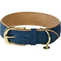Kentucky Dogwear - Hondenhalsband - Gevlochten Nylon Hondenriem - Lichtblauw - Maat XS (37cm)