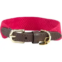 Kentucky Dogwear - Jacquard Hondenhalsband - Roze - Maat XL - 71cm - Hondenriem